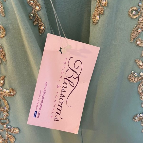 Bicici and Coty Gown - Picture 5 of 12